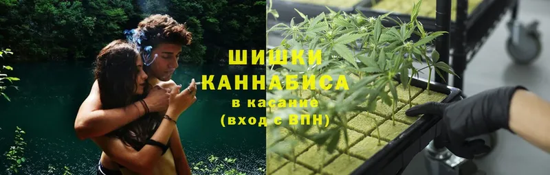 Шишки марихуана SATIVA & INDICA  наркота  Юрьевец 